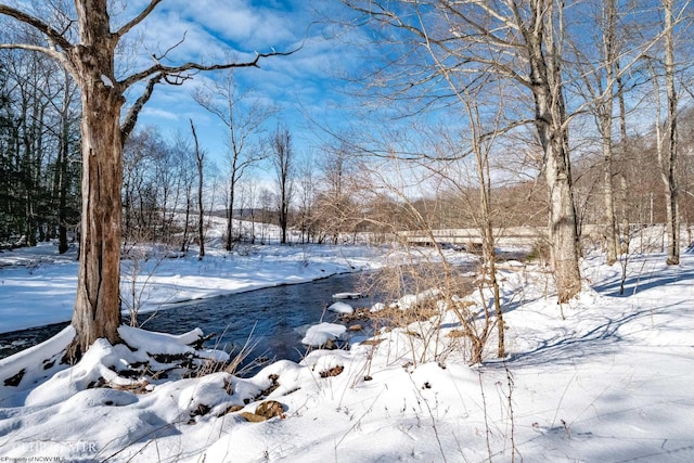 view of yard covered in snow