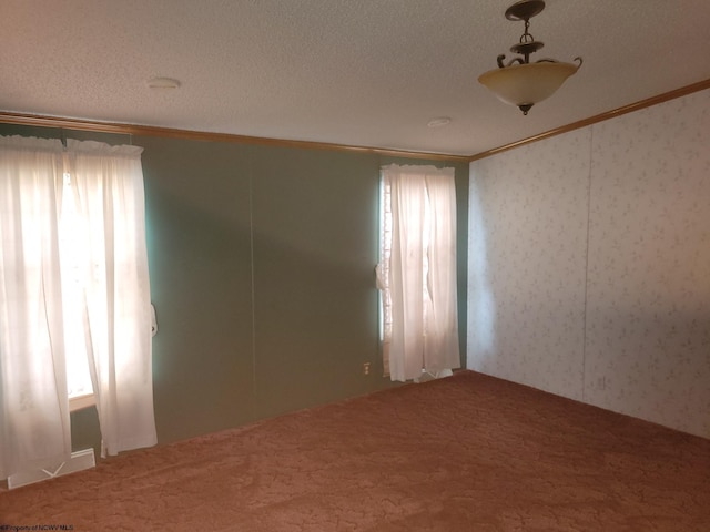 spare room featuring carpet floors, crown molding, and a textured ceiling