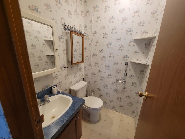 bathroom with toilet and vanity