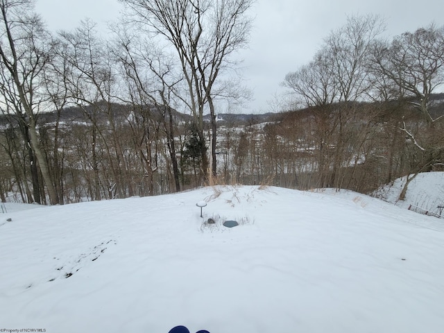 view of yard layered in snow