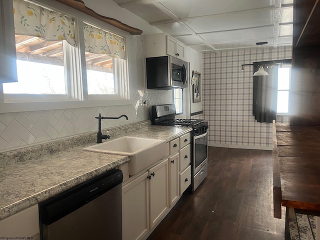 kitchen featuring a wealth of natural light, white cabinetry, stainless steel appliances, sink, and dark hardwood / wood-style floors