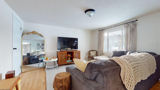 living room featuring hardwood / wood-style flooring and a textured ceiling