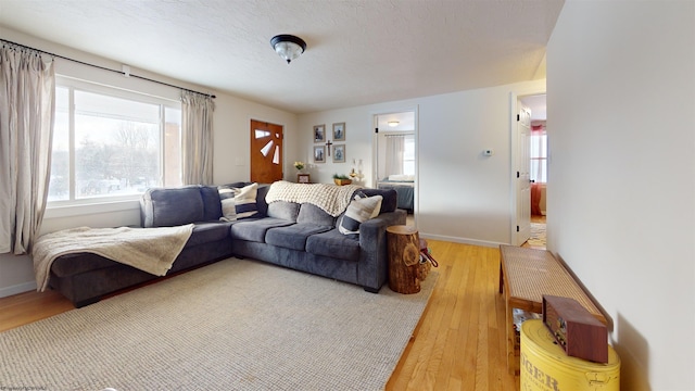 living room featuring a textured ceiling and light hardwood / wood-style flooring