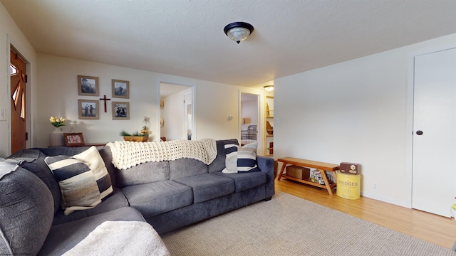 living room featuring wood-type flooring