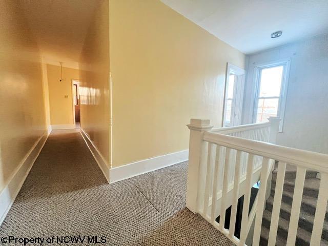 hallway with carpet