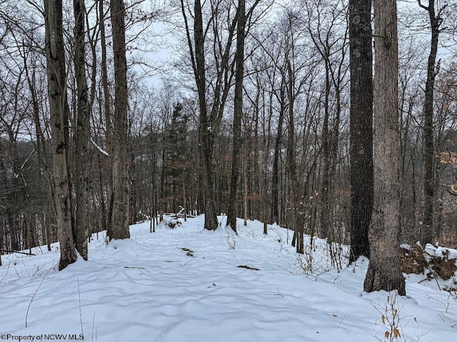 Listing photo 2 for TBD Upper Murray Rd, Mannington WV 26582