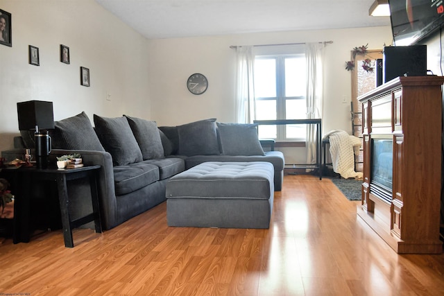 living room featuring light wood-type flooring