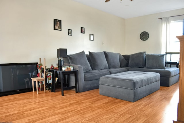 living room with ceiling fan and light hardwood / wood-style floors