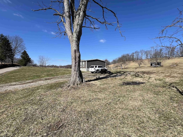 view of yard featuring driveway