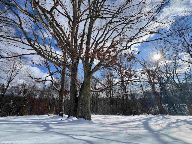 view of yard covered in snow