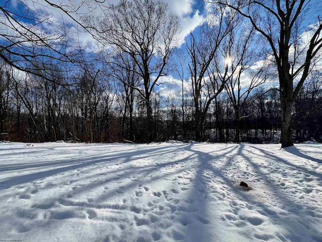 view of yard covered in snow