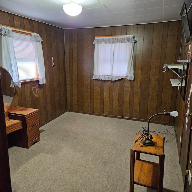 interior space with wooden walls and light colored carpet