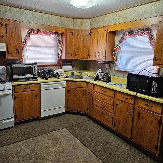 kitchen with sink, ventilation hood, and white appliances