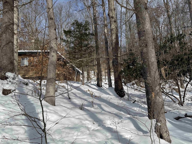 view of snowy landscape