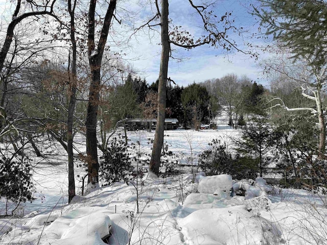 view of snowy landscape