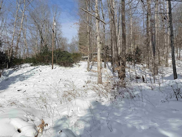 view of snow covered land