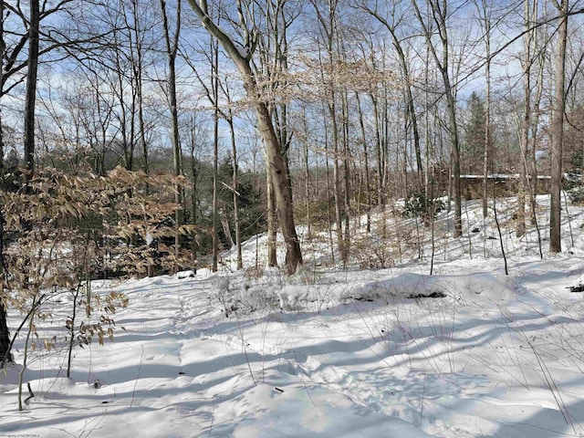 view of yard layered in snow