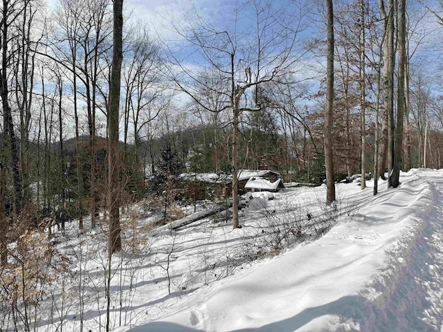 view of yard layered in snow