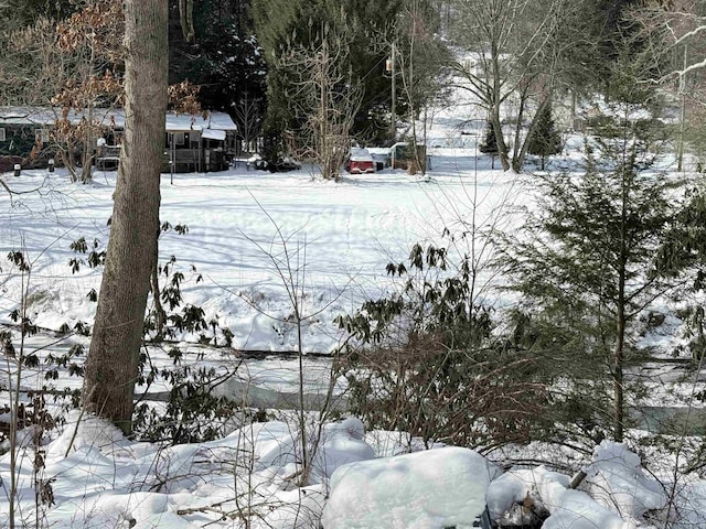 view of yard covered in snow