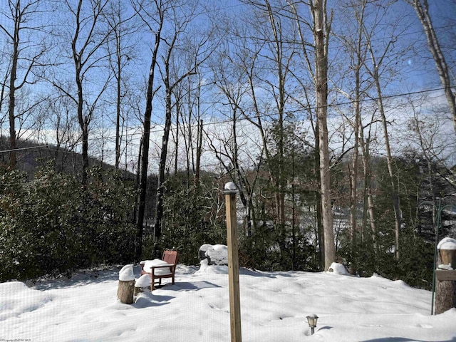 view of snowy yard