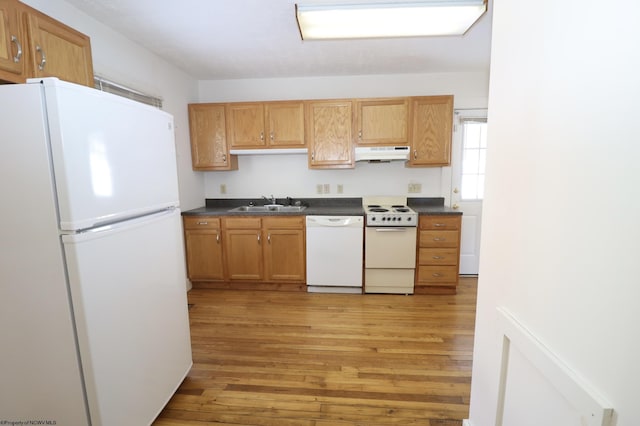 kitchen with light wood-type flooring, sink, and white appliances