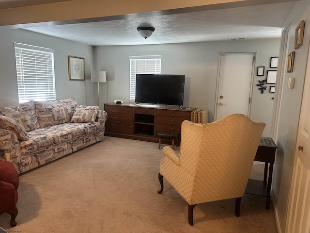 carpeted living room featuring a textured ceiling