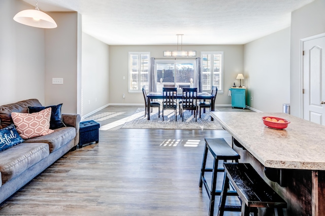 living room featuring hardwood / wood-style flooring