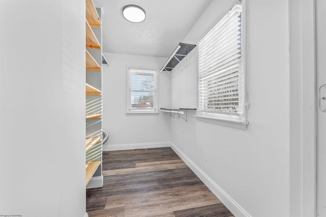 spacious closet with dark wood-type flooring