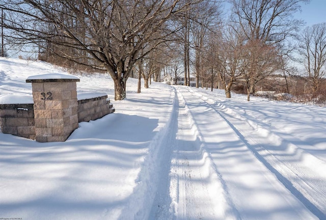 view of yard covered in snow