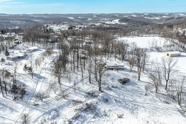 view of snowy aerial view