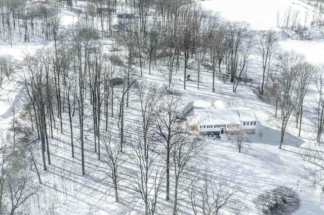 view of snowy aerial view