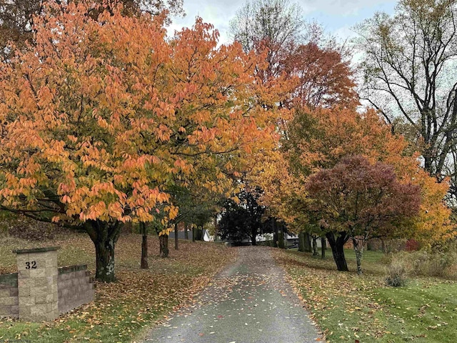 view of road