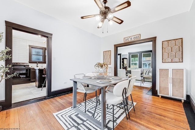 dining room featuring ceiling fan, sink, and light hardwood / wood-style flooring