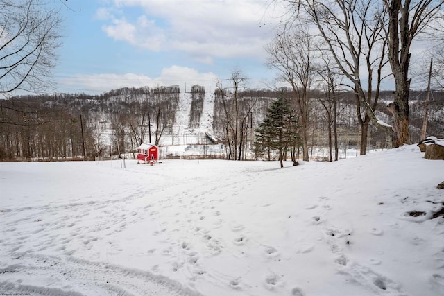 view of snowy yard