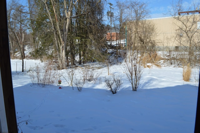 view of snowy yard