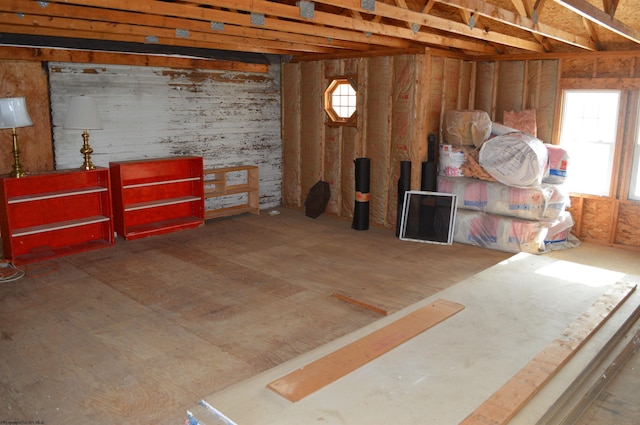 basement featuring a wealth of natural light