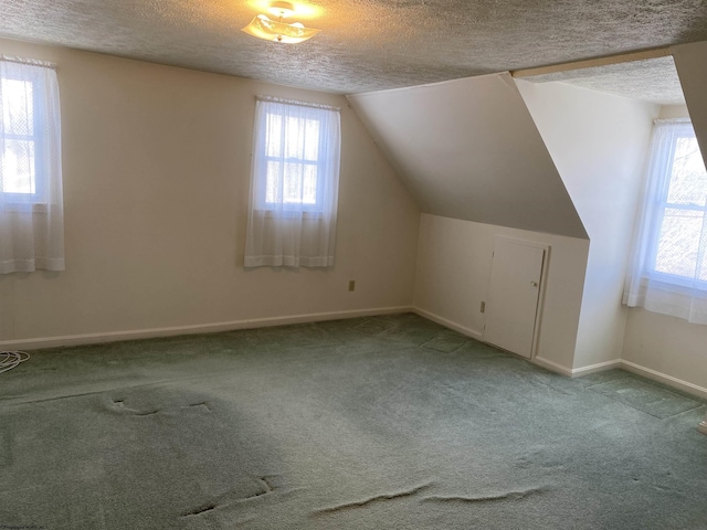 additional living space with light carpet, lofted ceiling, and a textured ceiling