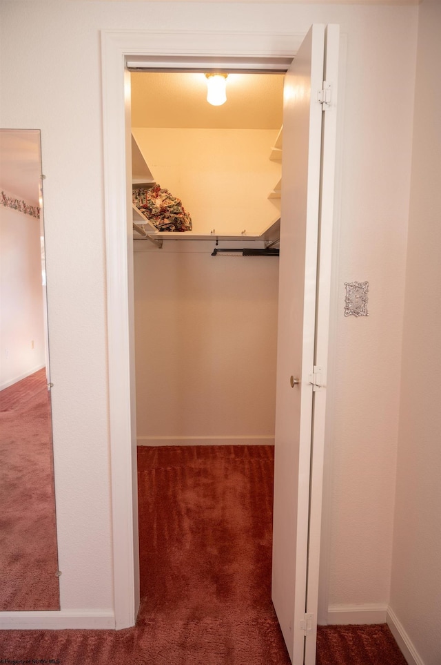 spacious closet with carpet flooring