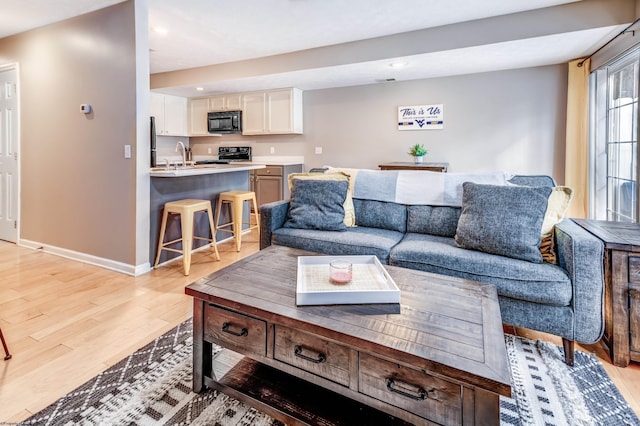 living room with light wood-type flooring