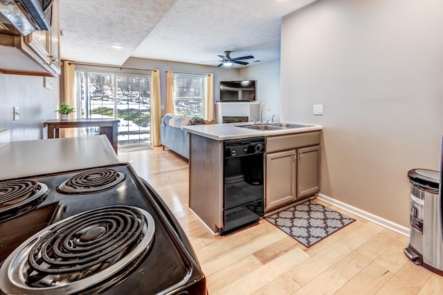 kitchen featuring sink, ceiling fan, black appliances, light hardwood / wood-style floors, and a textured ceiling