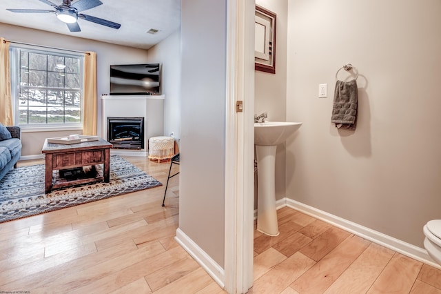 interior space featuring ceiling fan and light wood-type flooring