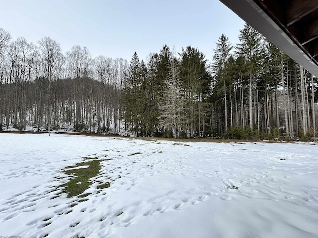 view of snowy yard