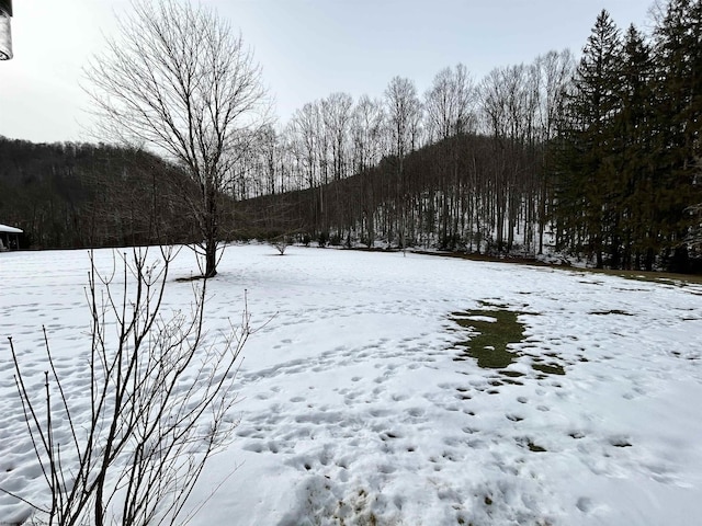 view of snowy yard