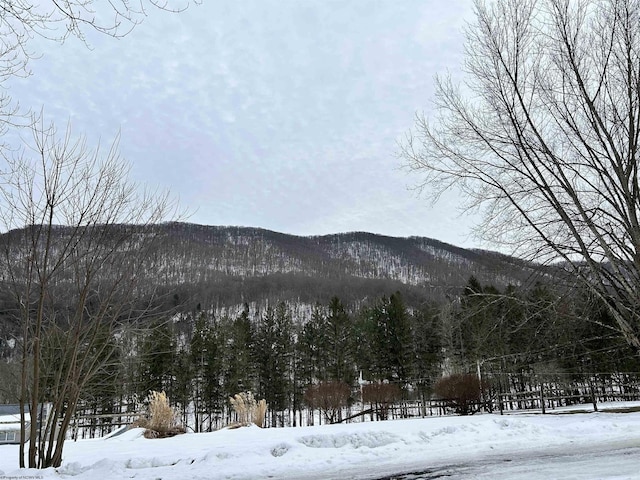 view of mountain feature