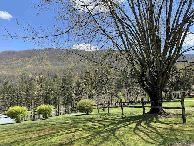 exterior space featuring a mountain view and a yard