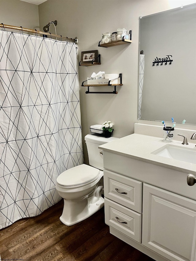 bathroom featuring vanity, toilet, and wood-type flooring