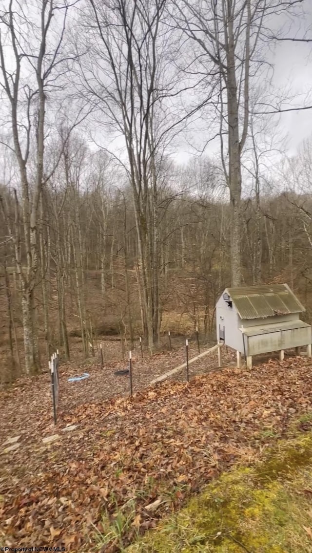 view of yard featuring an outdoor structure