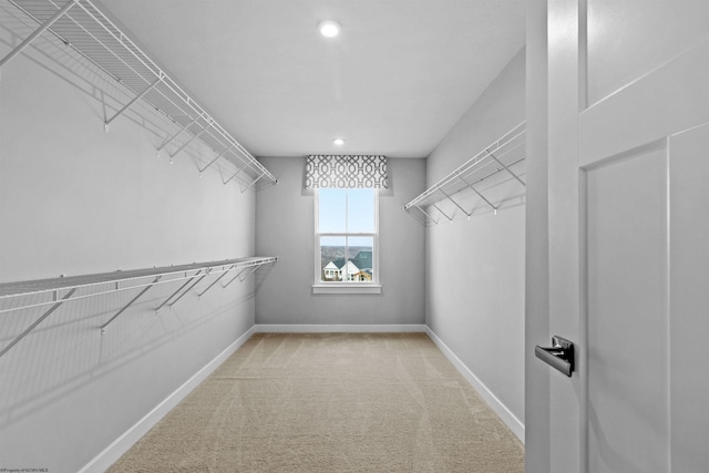 walk in closet featuring carpet flooring