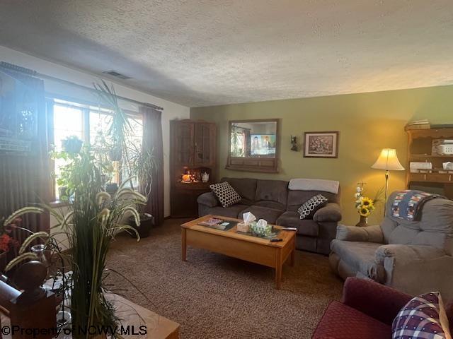 living room with carpet flooring and a textured ceiling