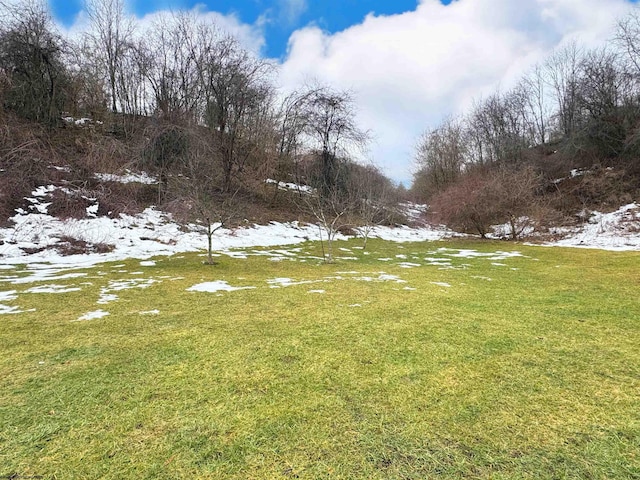 view of yard layered in snow